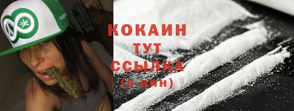 индика Каменногорск