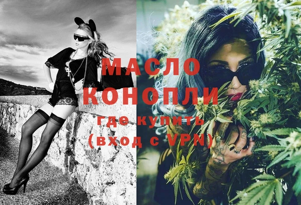 индика Каменногорск