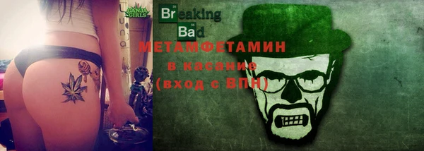 индика Каменногорск