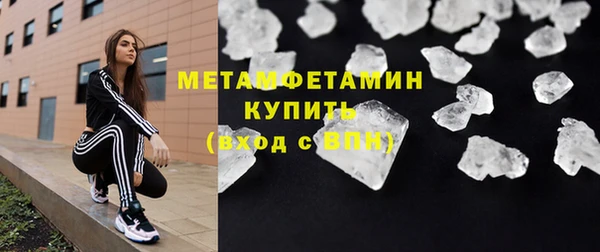 индика Каменногорск