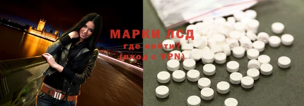 индика Каменногорск