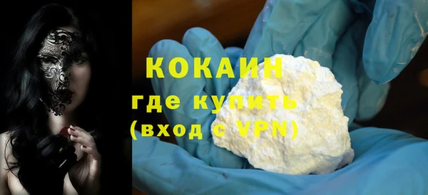 индика Каменногорск