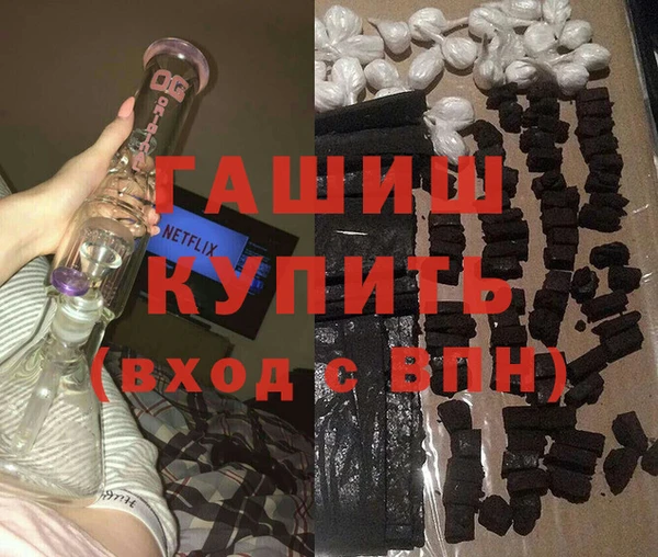 индика Каменногорск