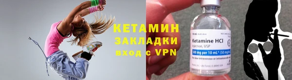 индика Каменногорск