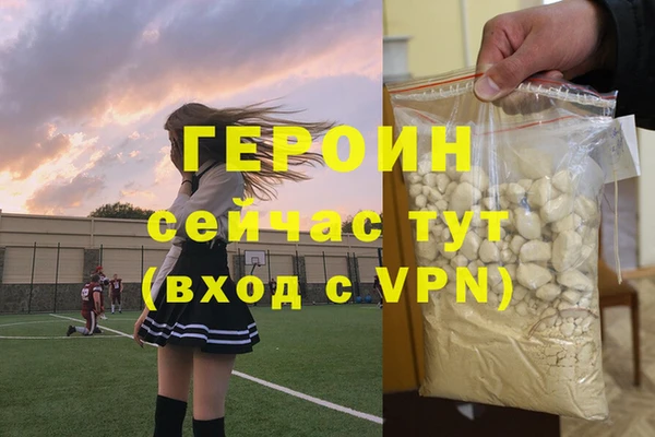 индика Каменногорск
