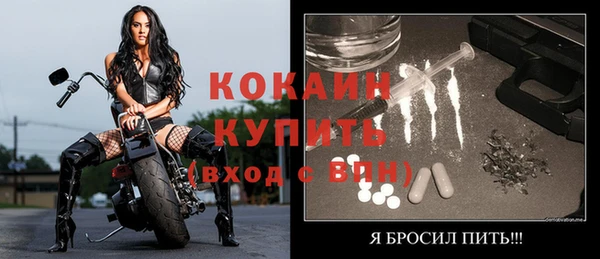 индика Каменногорск