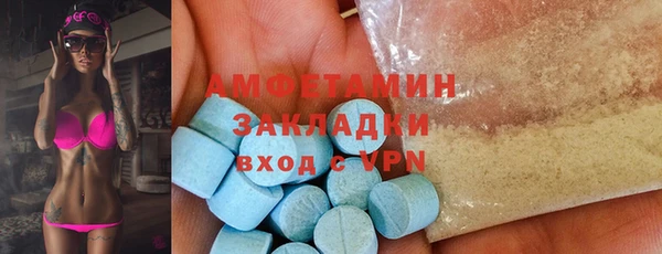 индика Каменногорск
