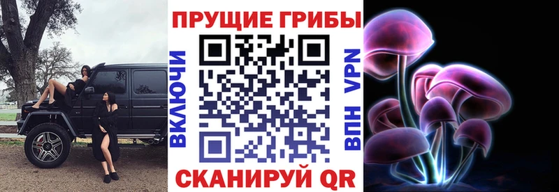 Купить закладки  Астрахань  Псилоцибиновые грибы Cubensis 