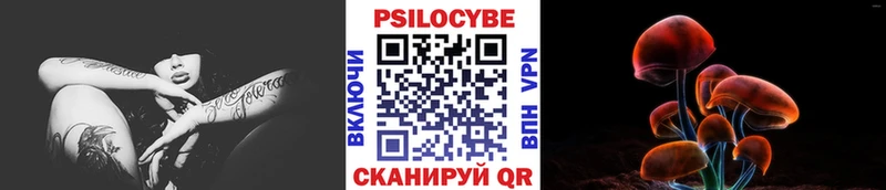 Галлюциногенные грибы Cubensis Астрахань